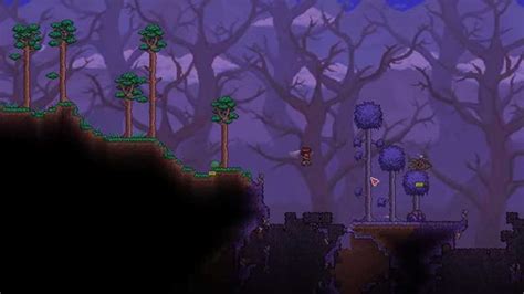 Image result for How to Install Calamity Mod Terraria