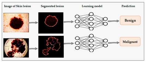 Deep Learning Process Unit 的图像结果