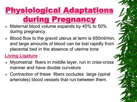 Adaptations Of Uterus