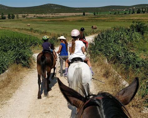 THE 10 BEST Croatia Horseback Riding Tours (Updated 2025)