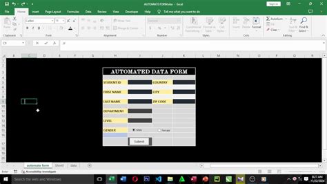 Excel Automated Form 的图像结果