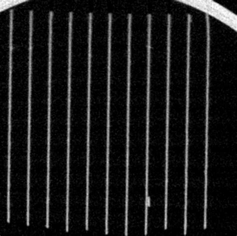 Image result for 3D Slicer Segmentation Tutorial