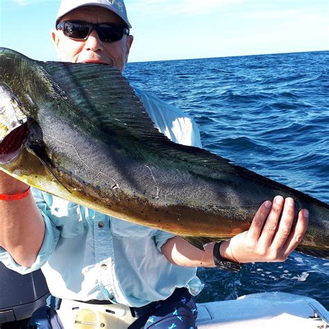 SLOTHS GUANACASTE EXPEDITION (2025) All You Need to Know BEFORE You Go ...