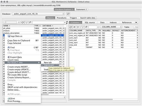 Image result for Ice SQL Workbench