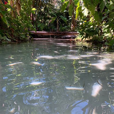 FERVEDOURO RECANTO DO SALTO (2025) All You Need to Know BEFORE You Go ...