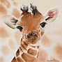 Image result for Most Beautiful Baby Animals