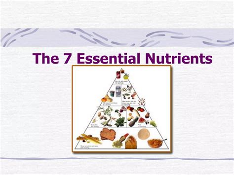 The essential nutrients | PDF