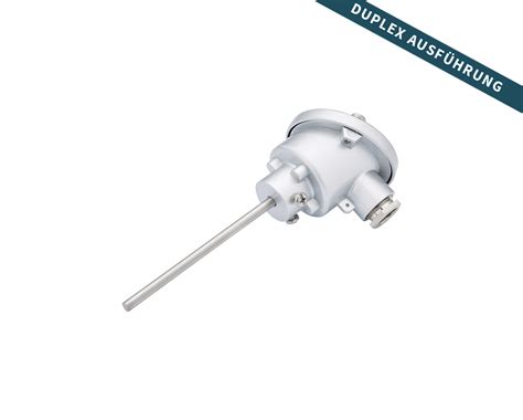 Immersion double thermocouple with B-head