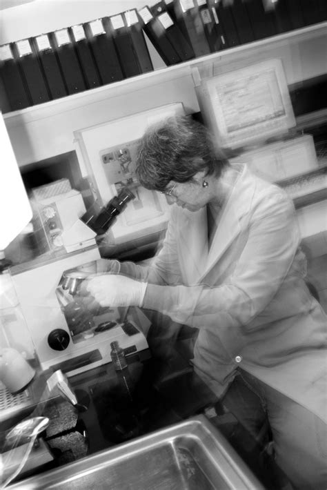 Forensic Scientist Explained 的图像结果