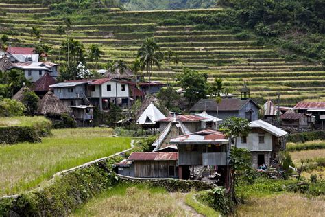 Banaue village houses Batad Rice Terraces Ifugao Province Philippines ...