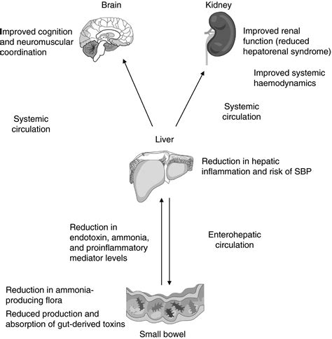 Alimentary Pharmacology & Therapeutics | Pharmacology Journal | Wiley Online Library