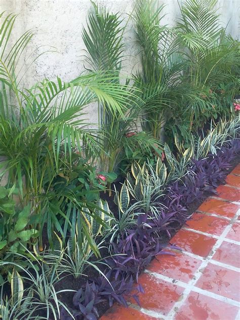 Tropical Garden Plants on Red Brick Floor