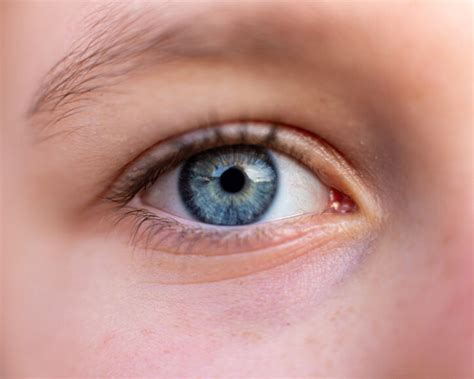 Light Color Lamp Science 的图像结果