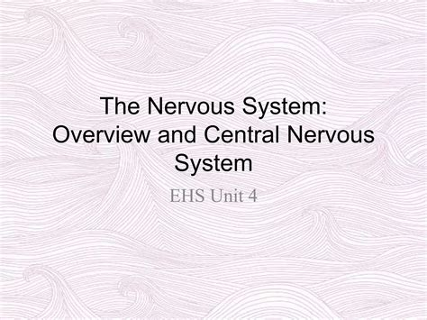Image result for Nervous System Introduction
