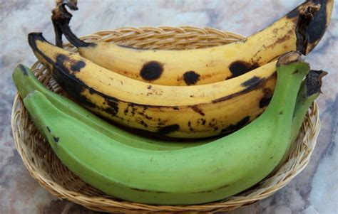 Plátano en Inalma, S.A de Honduras - ppfam.com