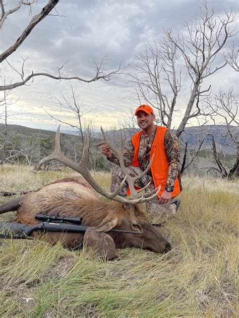 Elk Hunting Season in Colorado - What Time of Year is Best? - Western ...