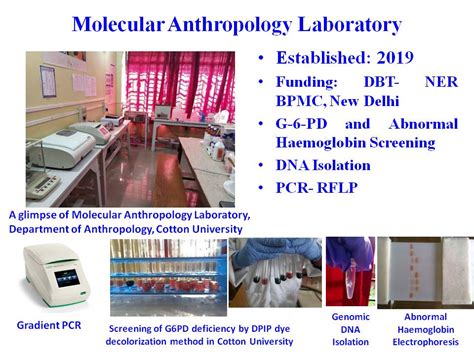 Facility : Department of Anthropology : Cotton University