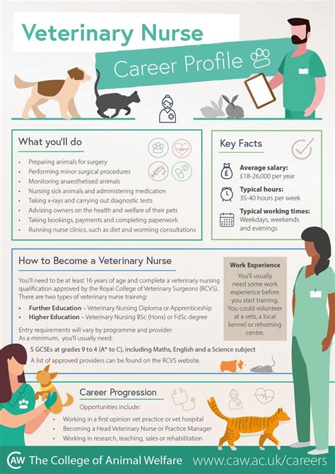 Veterinarian Career Overview at Bettie Dehart blog