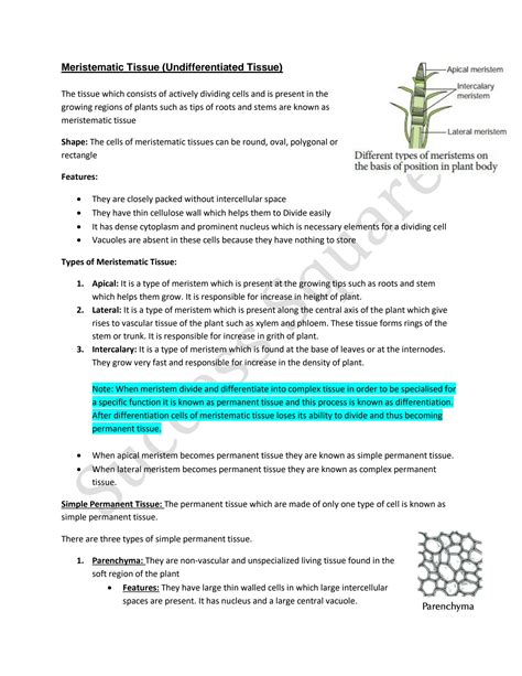 Tissue Chapter Class 9 的图像结果