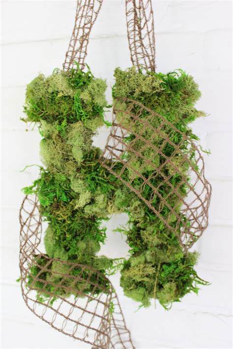 Image result for DIY Java Moss Decorations