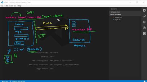 Beginner HTML5 的图像结果