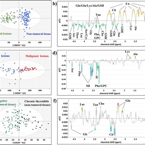 Plot Sus 的图像结果