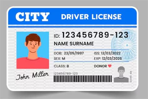 Image result for Drivers License Understanding