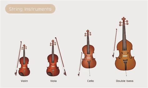 Orchestra String Instruments 的图像结果