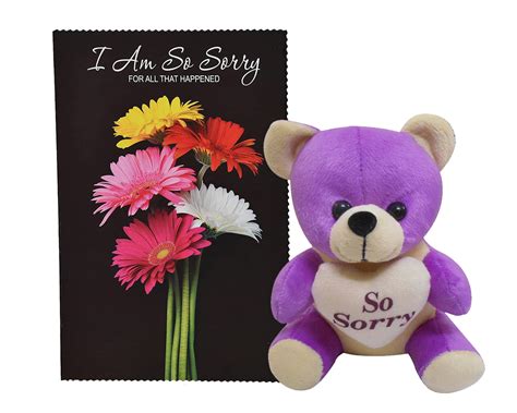 Sorry Gift Combo - Sorry Card & Soft Teddy