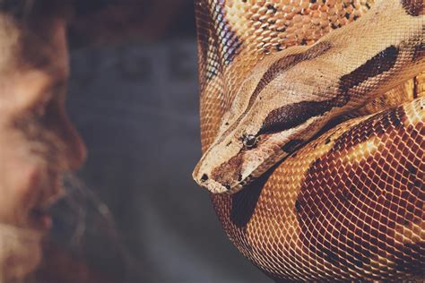 Python-Matplotlib Compare 2 Lines 的图像结果