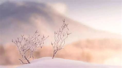 小寒·未有深冬未有春丨行律千年——二十四节气微纪录片