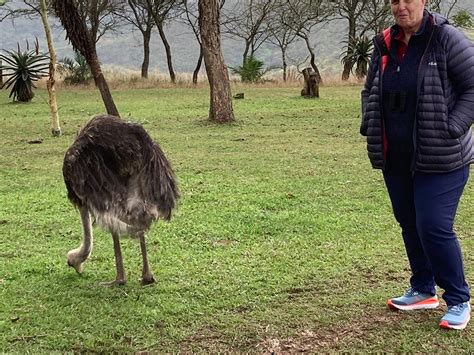 GWAHUMBE RESERVE GAME & SPA (2026) All You Need to Know BEFORE You Go ...