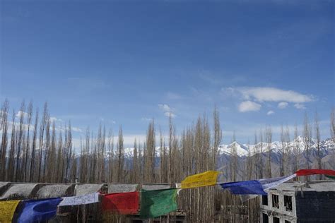 MAYFLOWER HOTEL LADAKH (Leh) - B&B Reviews, Photos, Rate Comparison ...