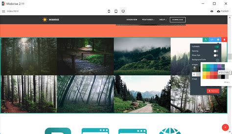 Image result for Basic Website Builder