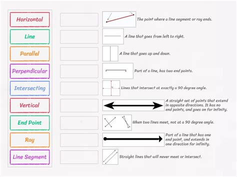 Geometry - Types of Lines - Match up