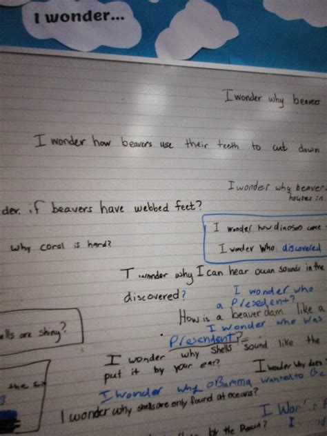 Image result for Inquiry Based Learning Science Activities