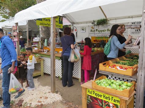 Unlocking the Potential of Charlotte’s Farmers’ Markets - Karen Karp ...