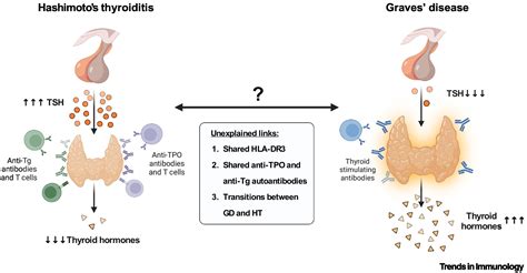 Publications | Uri Alon Lab