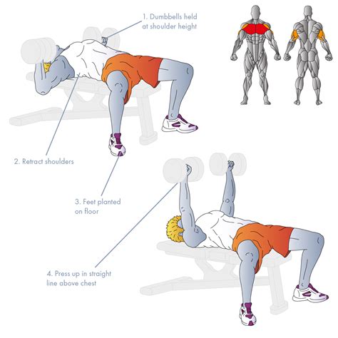 Flat Dumbbell Press: Ultimate Guide