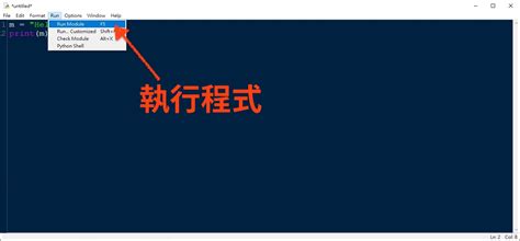 Class 11 CS Idle Python 的图像结果