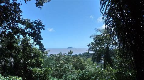 SITE ARCHÉOLOGIQUE HABITATION LOYOLA (2025) All You Need to Know BEFORE ...