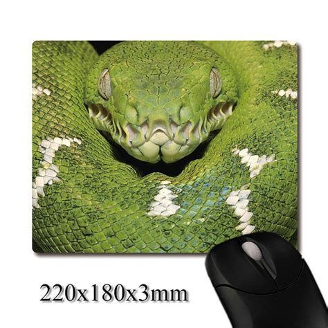 Image result for Monty Python Mouse Pad