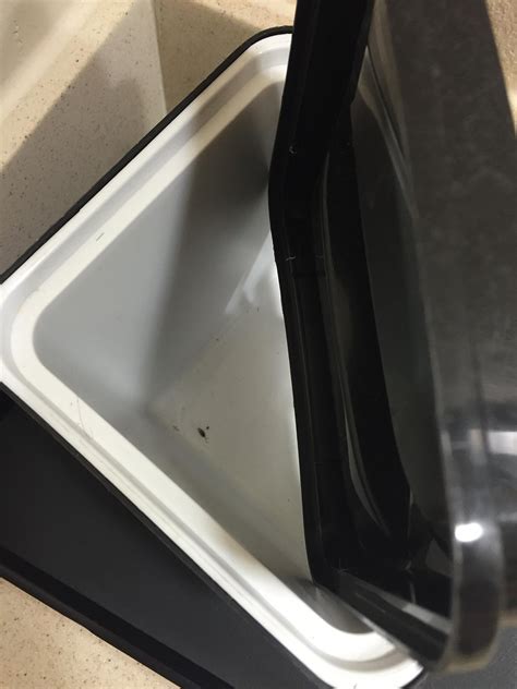 QUALITY INN & SUITES (Lake Charles) - Hotel Reviews, Photos, Rate ...