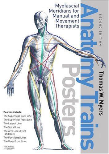 Buy The Anatomy Trains Posters Book Online at Low Prices in India | The ...