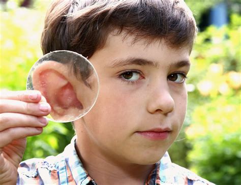 Image result for Extroverted Ears