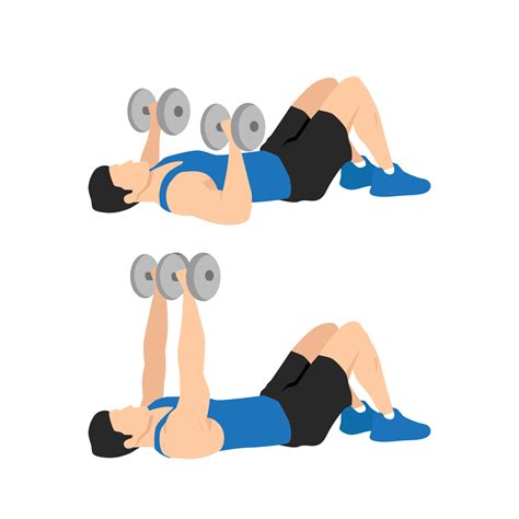 Dumbbell floor chest press exercise. Flat vector illustration isolated ...