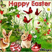 Image result for Easter Bunny GIF Images