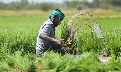 తెలంగాణలో 'ఫసల్‌ బీమా' అమలు.. కేంద్రం గ్రీన్‌ సిగ్నల్‌ | Center gives ...