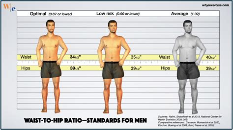 Waist Size To Inches _ Men’S Breast Size Chart – KQJJX