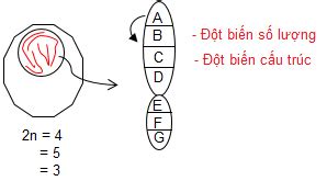 AMBIL SEKARANG